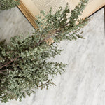 Faux Sage Green Caspia.