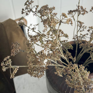 Faux Brown Meadow Grass Stems.