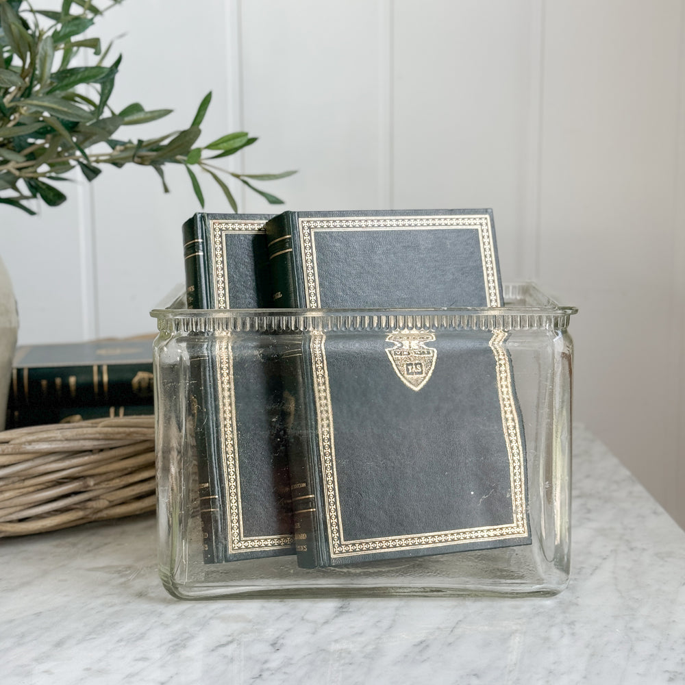 Vintage Glass Battery Box