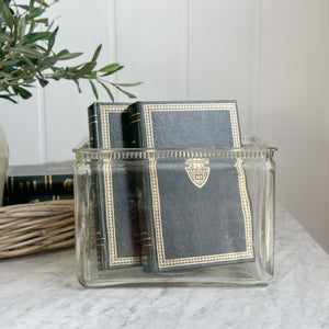Vintage Glass Battery Box