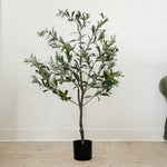 Faux Olive Tree 4'.