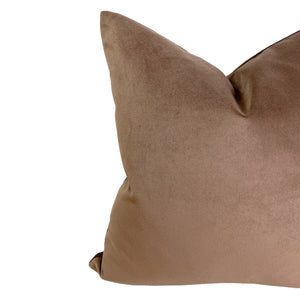 
                
                    Load image into Gallery viewer, Chestnut Velvet Pillow- Multiple Sizes
                
            
