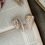 Vintage PAIR brown and white cowrie shells