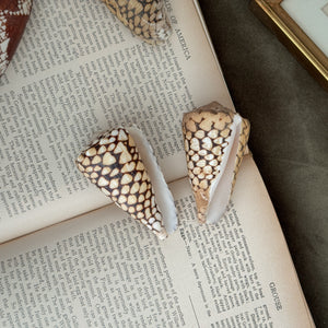 Vintage PAIR brown and white cowrie shells