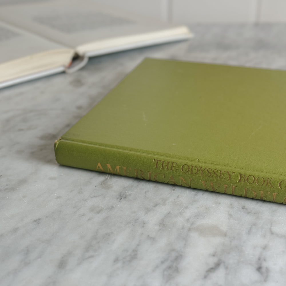 Vintage American wildflower Book