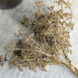 Faux Brown Meadow Grass Stems.