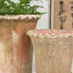 Terracotta Aged Tall Nursery Piecrust Planter.