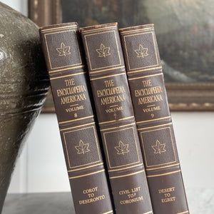 Vintage Ameri Cana Encyclopedia Book