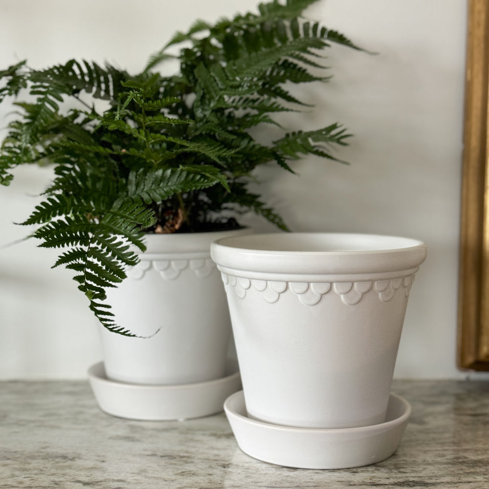 
                
                    Load image into Gallery viewer, Matte White Scallop Planter.
                
            