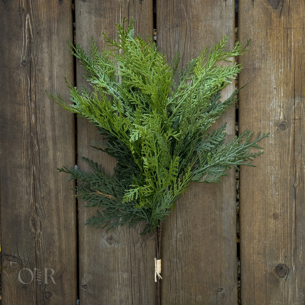 White Cedar Stem Bundle.