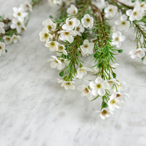 Faux Wax Flower.