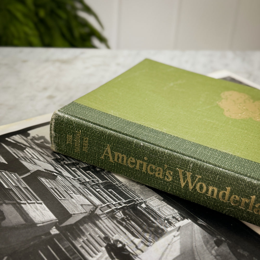 Vintage Green Book- America's Wonderland.