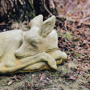 
                
                    Load image into Gallery viewer, Sleeping fawn
                
            