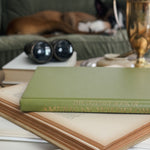 Vintage American wildflower Book
