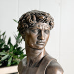 Vintage bronze colour David statue.