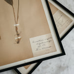 Vintage french 1900's herbarium.