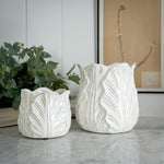 White Cabbage Leaf Pot.