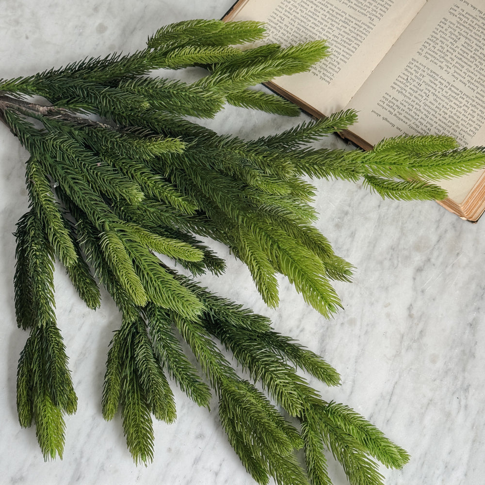 Spruce Branch.