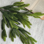 Spruce Branch.