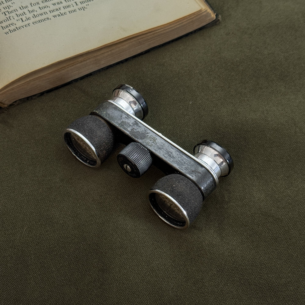 Vintage Pride opera glasses