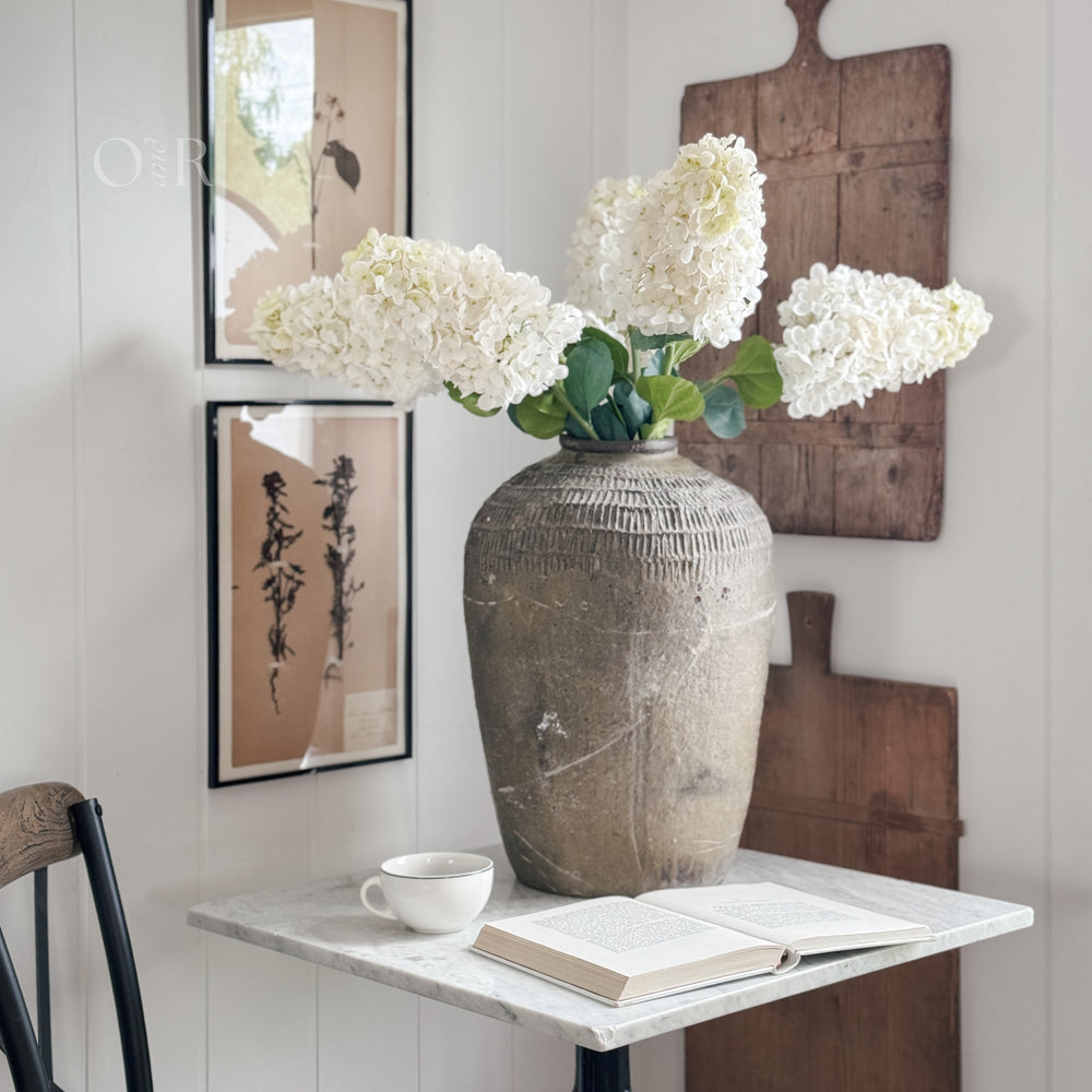 White Limelight Hydrangea Stem