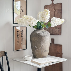 White Limelight Hydrangea Stem
