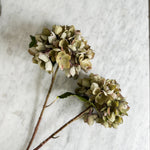 Brown faux Hydrangea