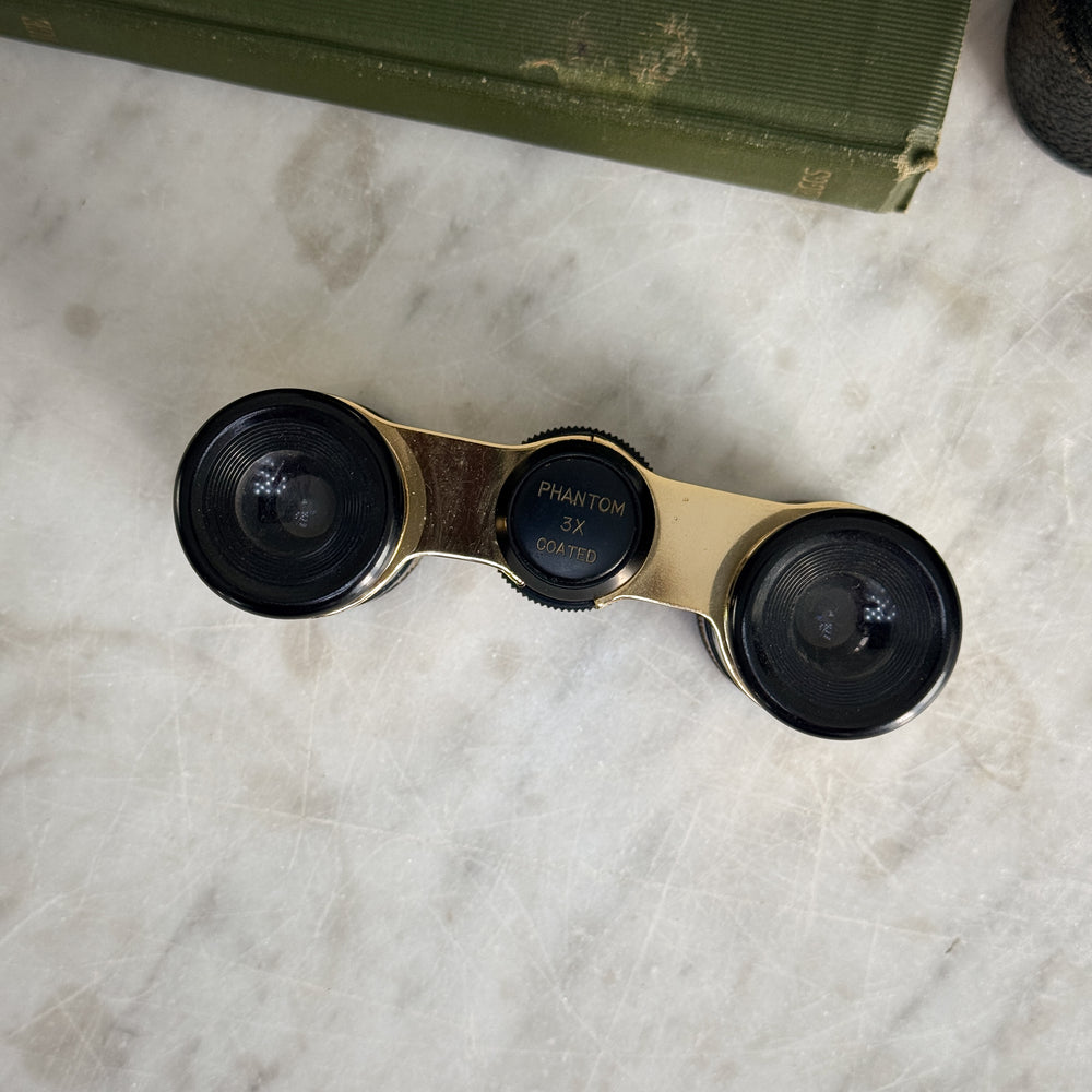 Vintage Opera Glasses in Case.