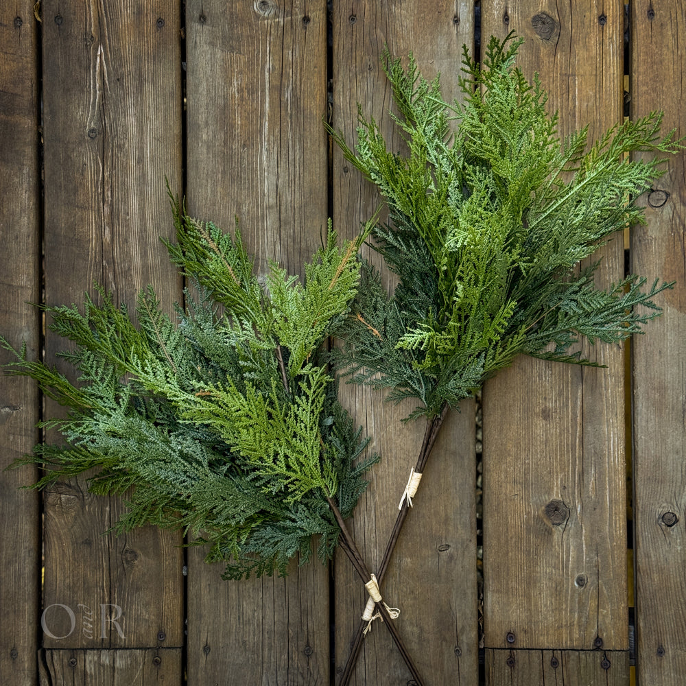 White Cedar Stem Bundle.