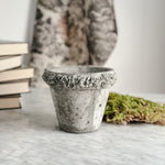 Concrete Rose Pot