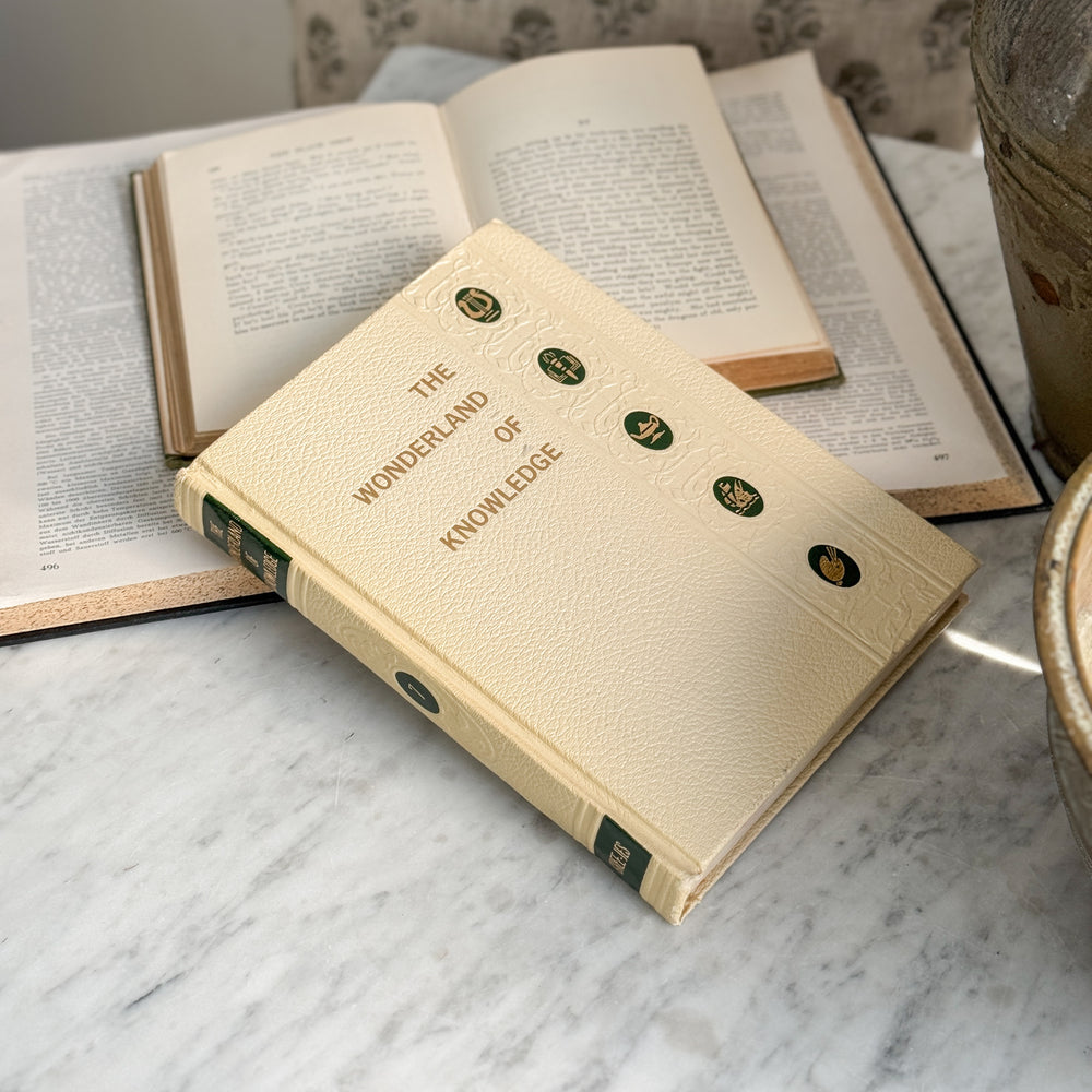 The Wonderland of Knowledge vintage book
