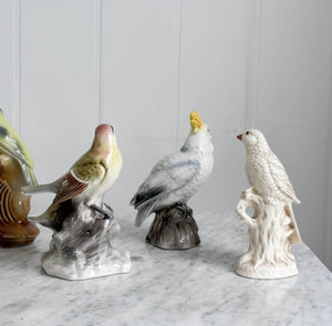 Vintage Porcelain Painted Birds