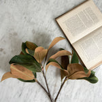 Large Magnolia Faux Stem.