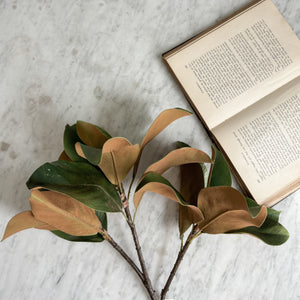 Large Magnolia Faux Stem.