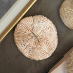 Vintage round fan white shell
