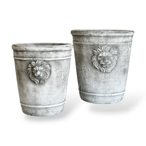 Concrete Lion Planter- two sizes available.