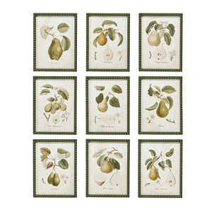 Hobnail Green Pear Print- Assorted