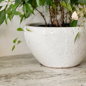 White crackle bowl planters