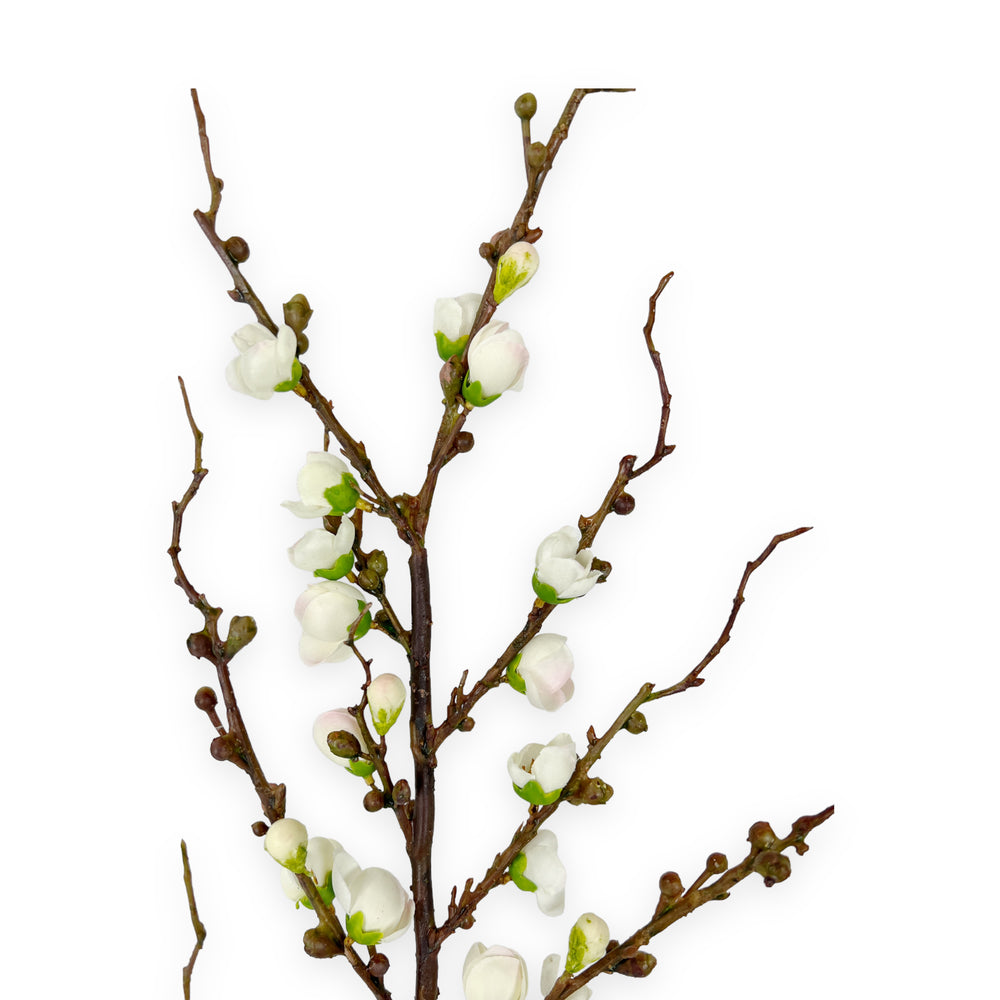 
                
                    Load image into Gallery viewer, White Peach Blossom Stem*
                
            