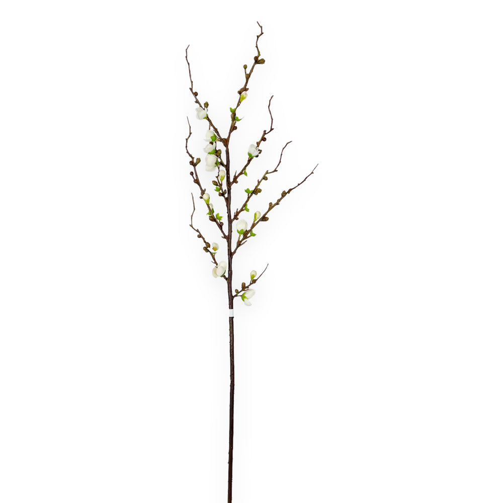 
                
                    Load image into Gallery viewer, White Peach Blossom Stem*
                
            