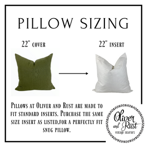 
                
                    Load image into Gallery viewer, Sheridan 20&amp;quot; Pillow*
                
            